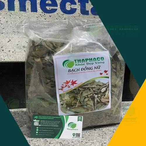 Trà Bạch Đồng Nữ khô được THAPHACO đóng gói cẩn thận