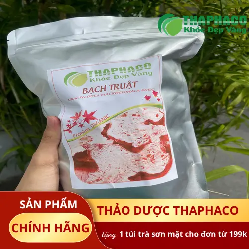 Hình ảnh củ bạch truật khô nguyên chất