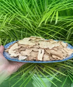 Mua 1kg Bạch Truật Sấy Khô Uy Tín tại TP.HCM - THAPHACO