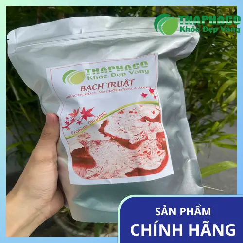 Hình ảnh củ Bạch Truật khô, dược liệu quý