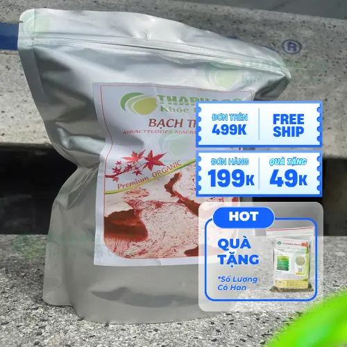 Công dụng của bạch truật trong y học