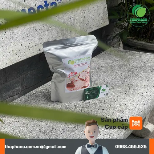 Lát bạch truật sấy khô chất lượng cao của THAPHACO