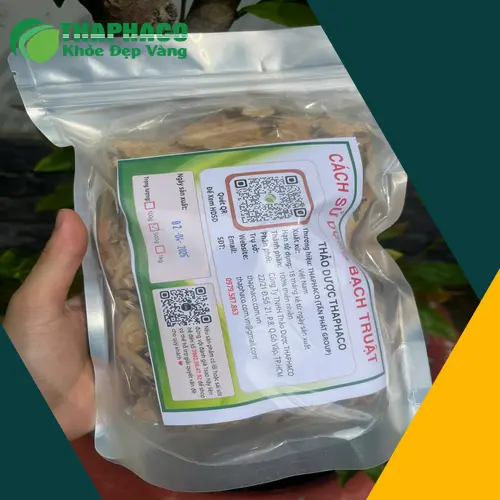 Bạch truật góp phần tăng cường sức đề kháng cho cơ thể
