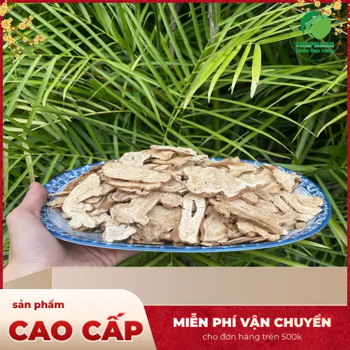 ThaphaCo cung cấp bạch truật khô chất lượng và giá tốt