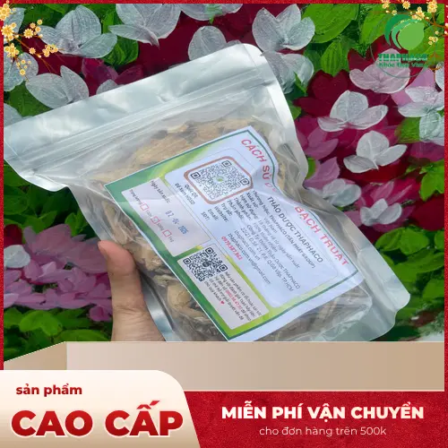 Thảo Dược THAPHACO cung cấp bạch truật sấy khô chất lượng, giá tốt