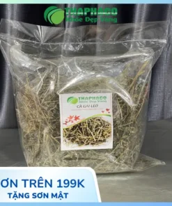 Cà gai leo sấy khô túi 1kg giá tốt tại TP.HCM