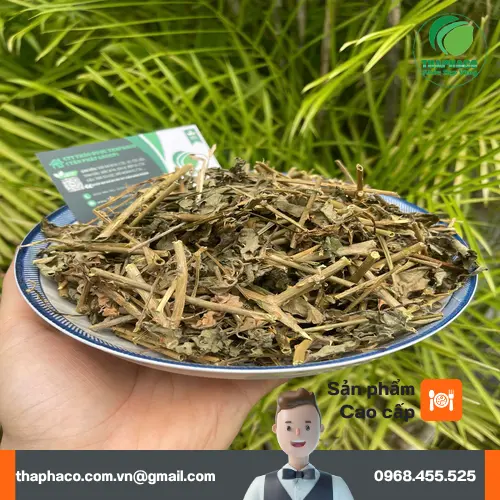 Túi cà gai leo sấy khô 1kg của THAPHACO tiện lợi