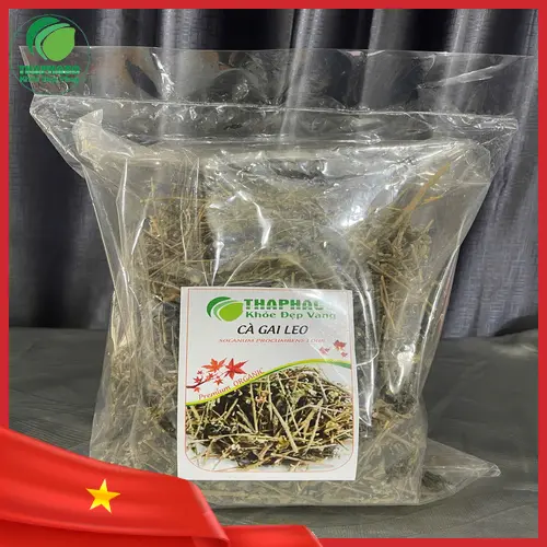 Sản phẩm cà gai leo khô chất lượng cao từ THAPHACO
