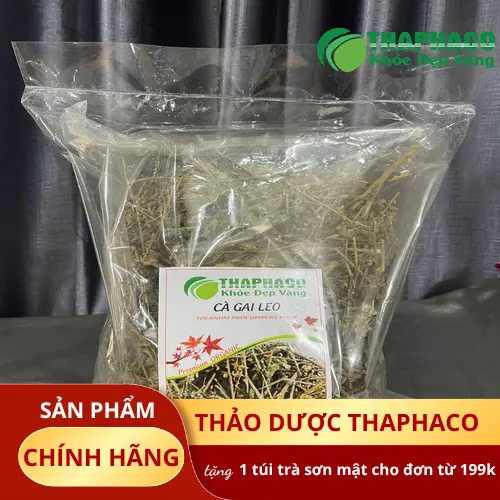 Khách hàng an tâm sử dụng cà gai leo THAPHACO