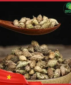 Công ty bán sỉ ké đầu ngựa sấy khô tại TP.HCM