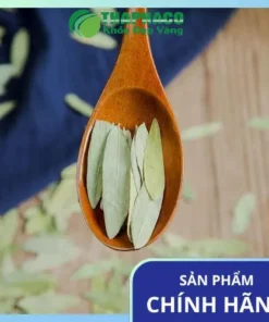 Địa chỉ bán sỉ phan tả diệp khô tại TP.HCM – Chất lượng, Giá tốt