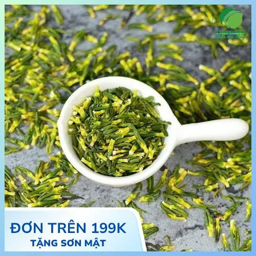 Hình ảnh tổng quan về dược liệu tự nhiên giúp cải thiện sức khỏe