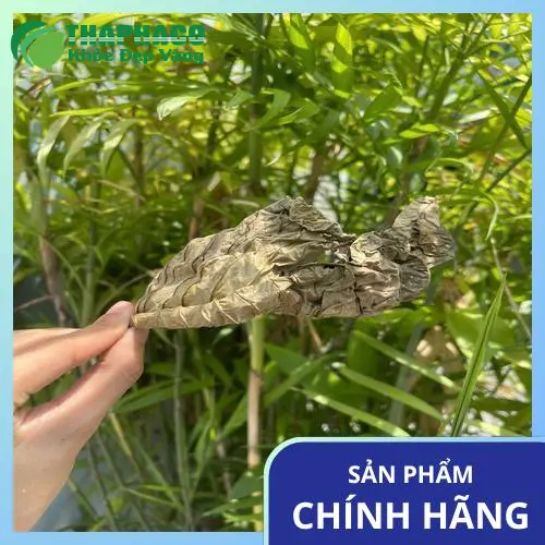 Lá khôi tía sấy khô chất lượng cao từ THAPHACO