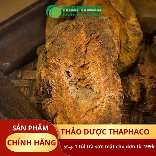 Hình ảnh Đại Hoàng sấy khô chất lượng cao tại THAPHACO