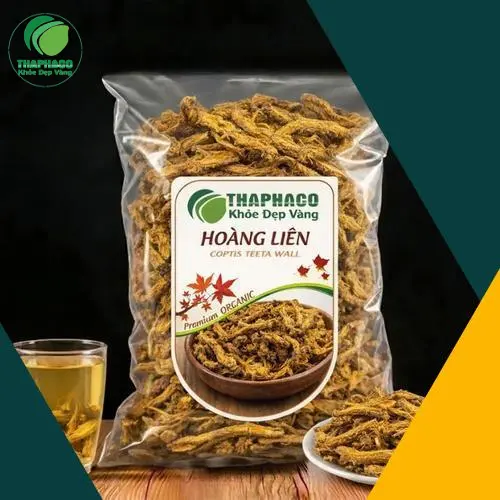 Hình ảnh cây Hoàng Liên chất lượng tại Thảo Dược THAPHACO