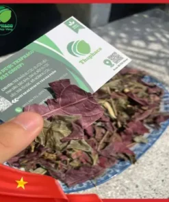 Địa chỉ bán sỉ lá đơn đỏ tại TP.HCM: Uy tín, chất lượng