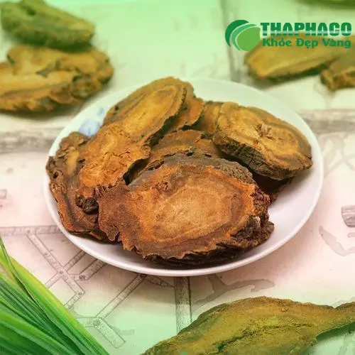 Hình ảnh cây Đại Hoàng tự nhiên tươi tốt