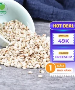 Sỉ Ý Dĩ Chất Lượng Cao Tại TP.HCM - Thảo Dược THAPHACO