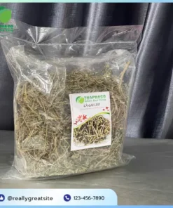 Cà Gai Leo Giá Rẻ Tại TP.HCM - Thảo Dược THAPHACO