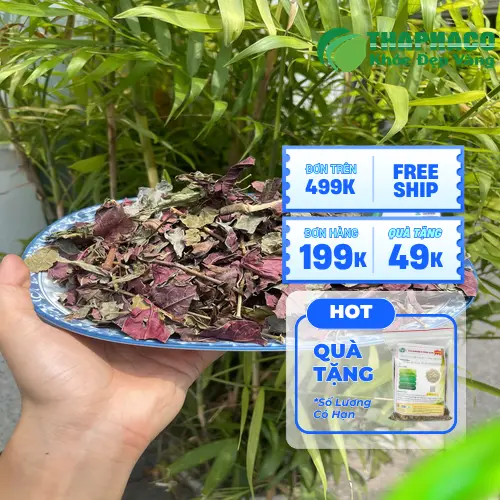 Lá đơn đỏ tươi chất lượng cao