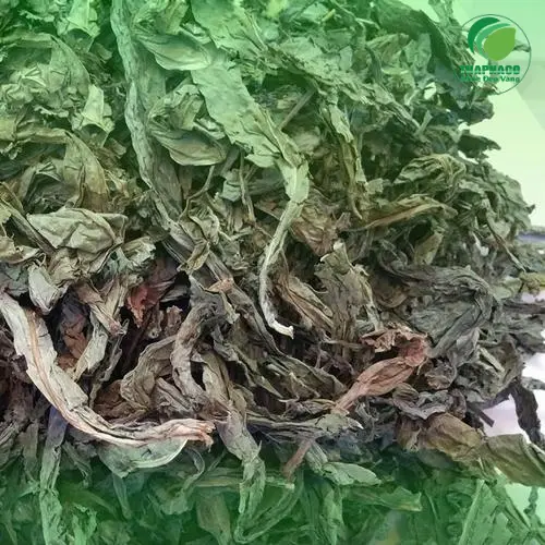 Pha trà lá khôi tía để sử dụng hàng ngày