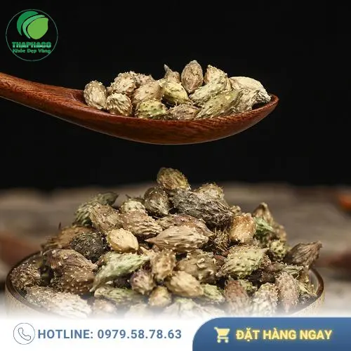 Hình ảnh ké đầu ngựa sấy khô chất lượng