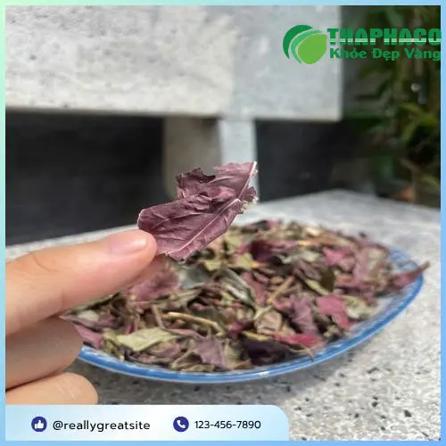 Hình ảnh minh họa quy trình sản xuất thảo dược