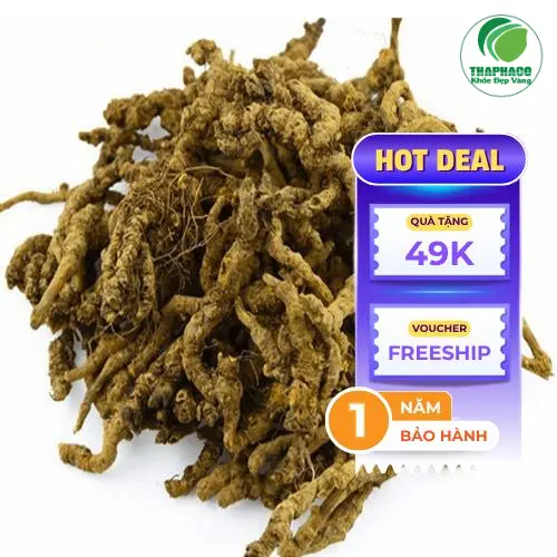 Hoàng Liên khô túi 100g chất lượng cao