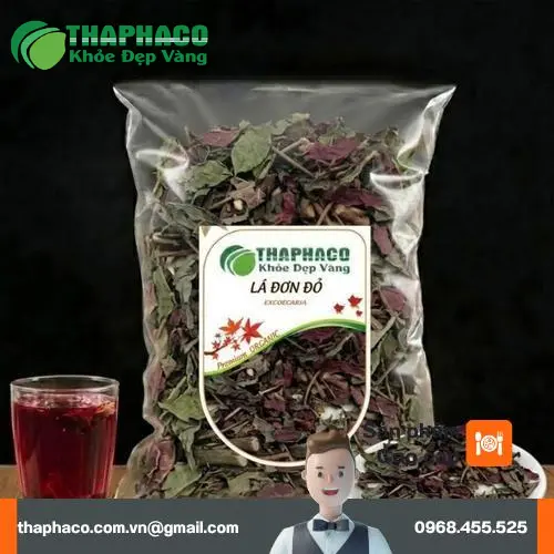 Quy trình đóng gói đơn lá đỏ khô tại Thảo Dược THAPHACO