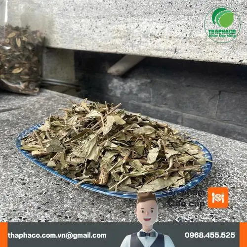 Quy trình tuyển chọn và đóng gói thảo dược đạt chuẩn tại THAPHACO