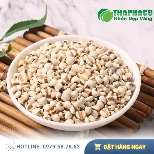 Giá ý dĩ sỉ tại Thaphaco.vn, ưu đãi freeship