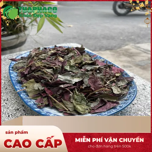 Sản phẩm lá đơn đỏ sấy khô của THAPHACO