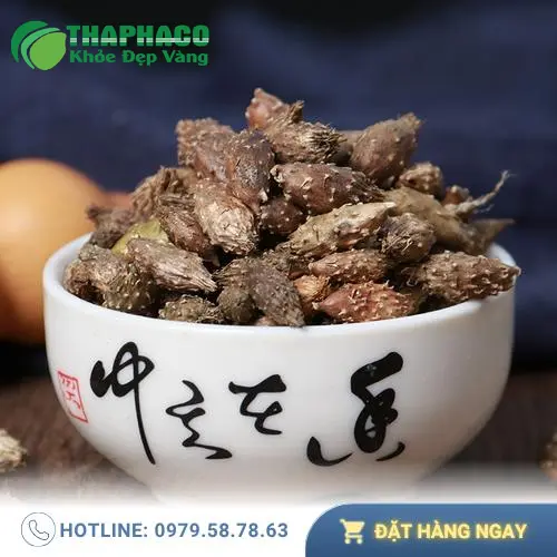 Ké đầu ngựa sấy khô Thaphaco đạt tiêu chuẩn chất lượng