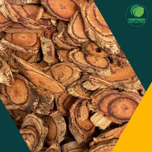 Bình rượu Kê Huyết Đằng ngâm đúng cách