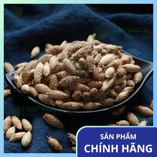Ké đầu ngựa chất lượng cao tại ThaphaCo