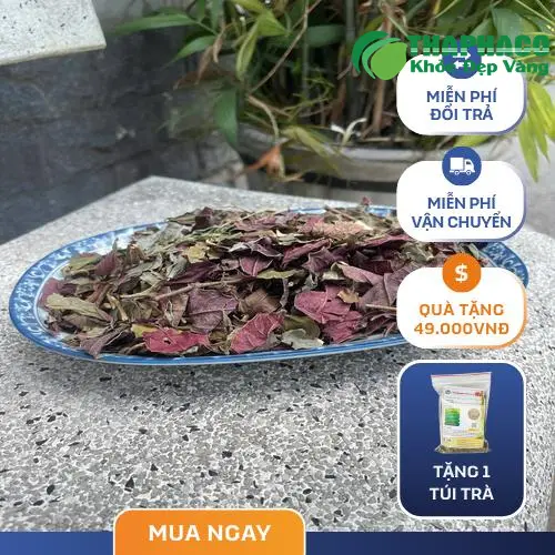 Lá đơn đỏ khô chất lượng cao từ Thảo Dược THAPHACO
