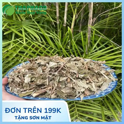 Sản phẩm thảo dược khô được bảo quản đúng cách