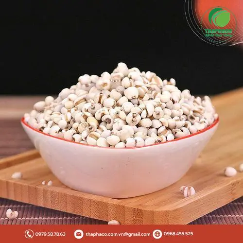 Ý dĩ giúp làm đẹp da và hỗ trợ vóc dáng