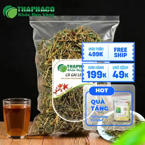 Các quy cách đóng gói cà gai leo THAPHACO