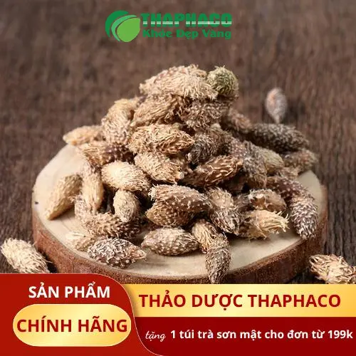 Kho chứa ké đầu ngựa sấy khô Thaphaco