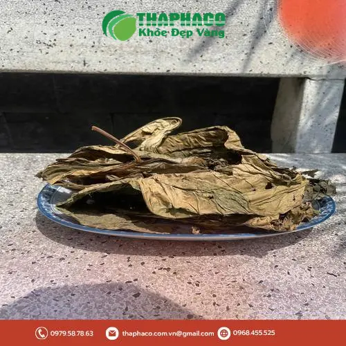 Lá khôi tía sấy khô THAPHACO - Đảm bảo uy tín