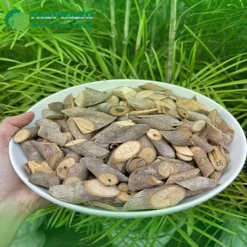 Túi đựng cây an xoa khô được đóng gói cẩn thận