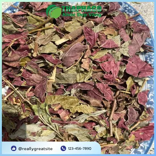 Sản phẩm đơn lá đỏ khô Thảo Dược THAPHACO đóng gói sẵn sàng giao hàng