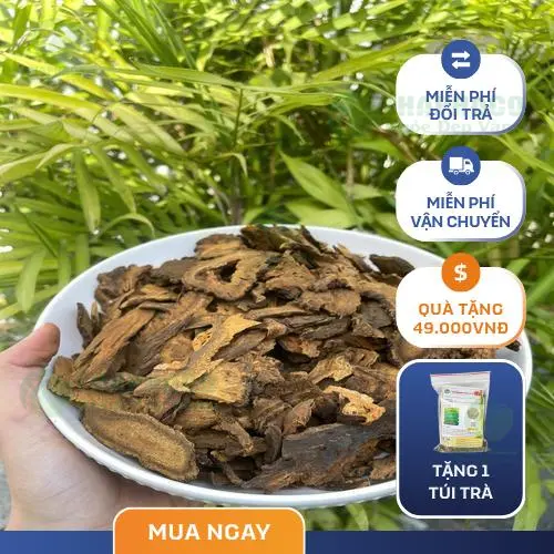 Sản phẩm Đại Hoàng sấy khô Thảo Dược THAPHACO