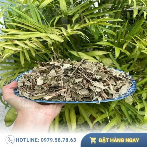 Hình ảnh minh họa thảo dược đã được sơ chế và đóng gói