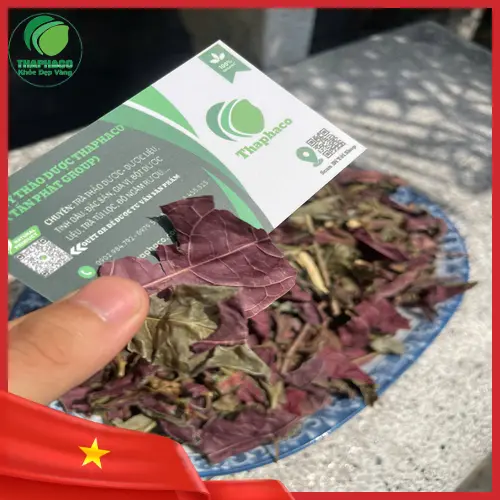 Sản phẩm lá đơn đỏ đóng gói của THAPHACO