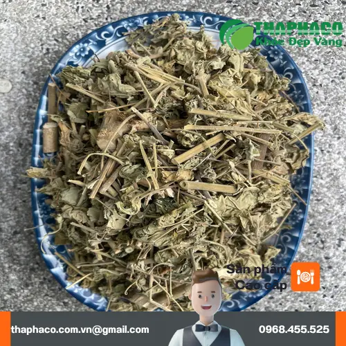 Hình ảnh tổng quan cây cối xay mọc tự nhiên với thân, lá, hoa và quả
