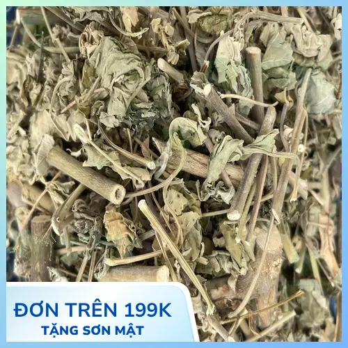 Hình ảnh cây cối xay, một loại dược liệu quý