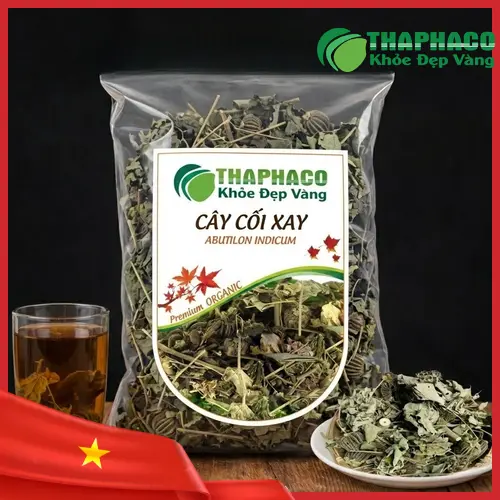 Hình ảnh cây cối xay tươi tại Thảo Dược THAPHACO