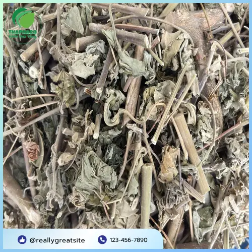 Mẫu cây cối xay khô từ Công Ty Dược Liệu Xanh với màu sắc tự nhiên